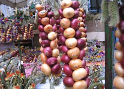 Zwiebelmarkt in Weimar